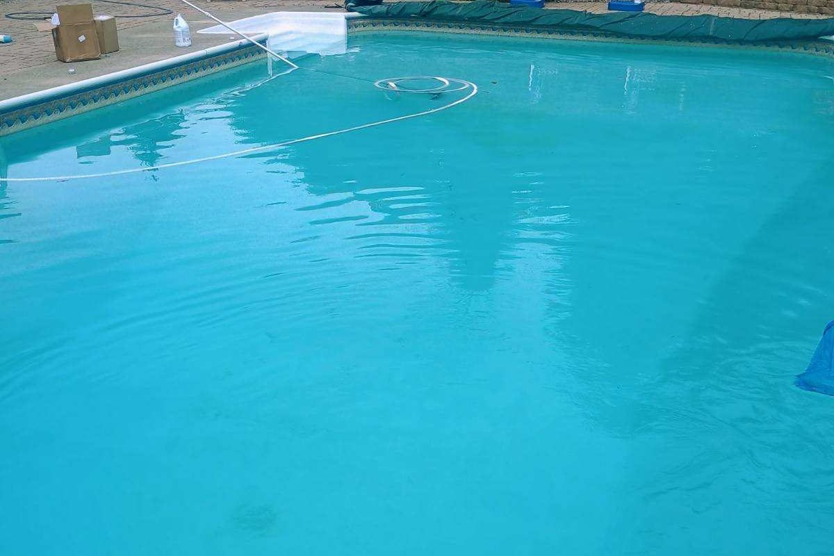 After: Algae cleanup and rebalance — Dutchess County, 2026